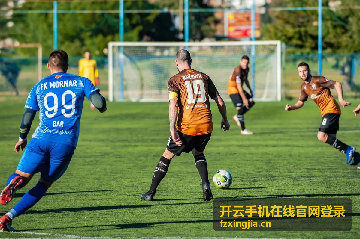 开云手机在线官网登录平台功能概览