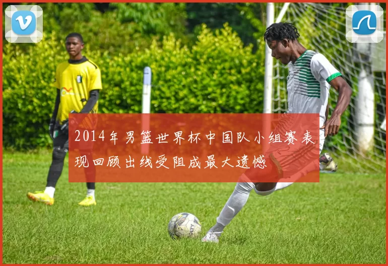 2014年男篮世界杯中国队小组赛表现回顾出线受阻成最大遗憾
