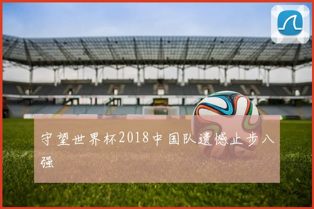 守望世界杯2018中国队遗憾止步八强